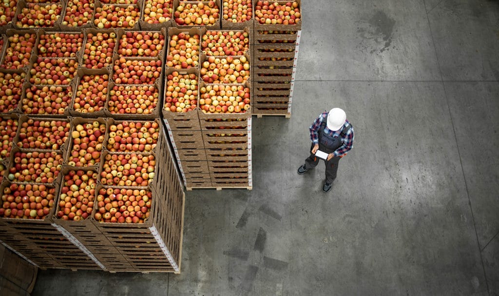 An above view of a food manufacturer standing in a warehouse next to crates of apples that are covered by food product liability insurance.