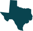 Texas state icon