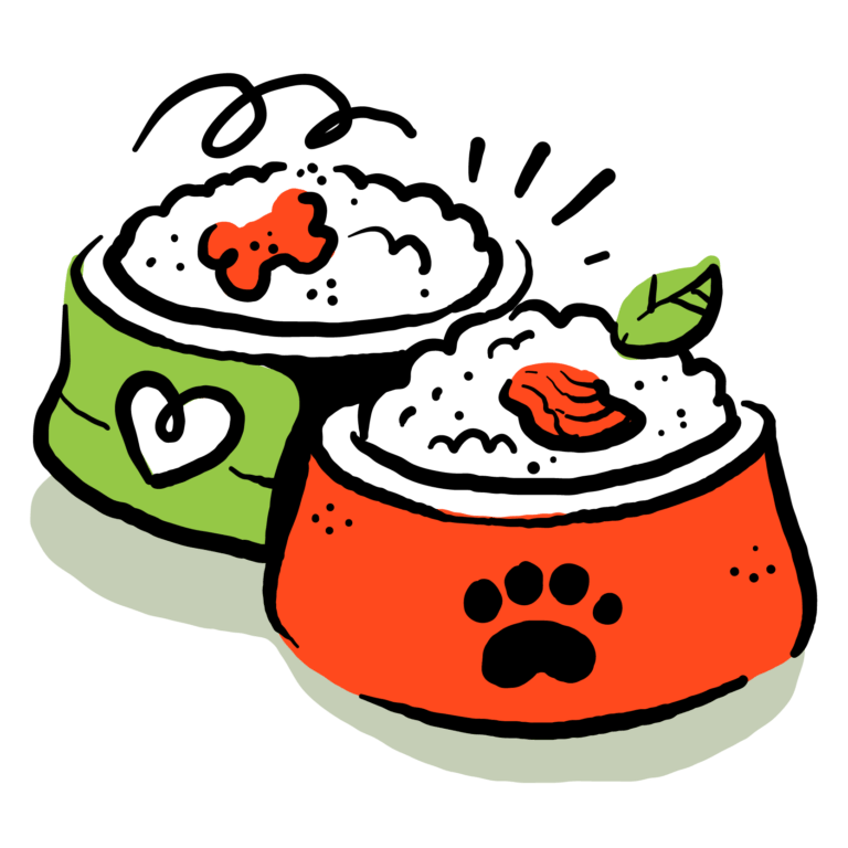 two pet bowls