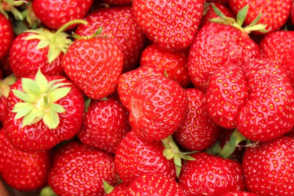 Fresh bunch of strawberries.