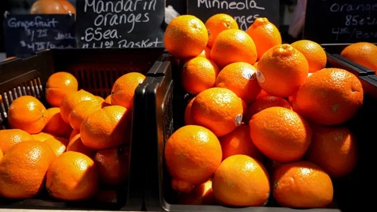 Mandarin and Minneola oranges stacked inside black baskets in front of chalkboard signs at Charles Family Farm's stand.