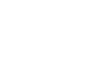 White-FLIP-TM logo.