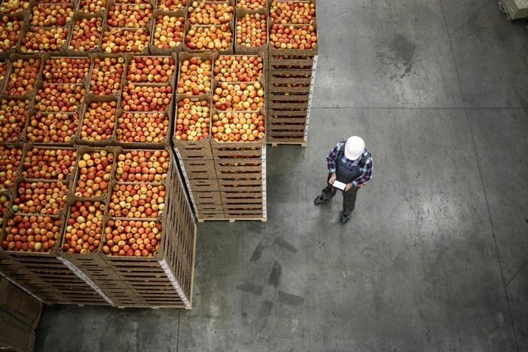 A bird's eye view of a worker in a warehouse wearing a white hard hat standing next to stacked boxes of apples on a concrete floor.